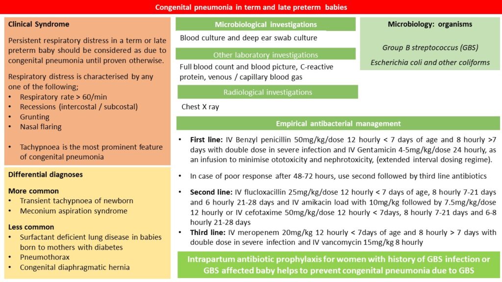 Neonatal Infection Types Neonatal Infections – Sri Lanka College of Paediatricians